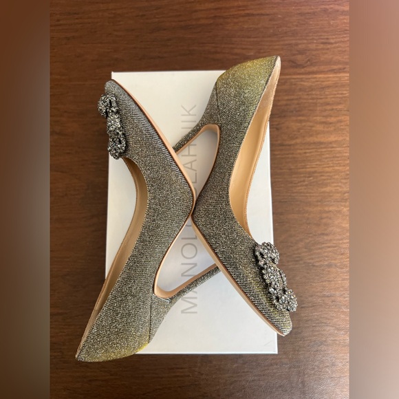 Manolo Blahnik Hangisi Pointed Toe Pump - Picture 4 of 9